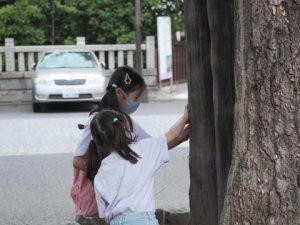 戦災樹木の木陰で