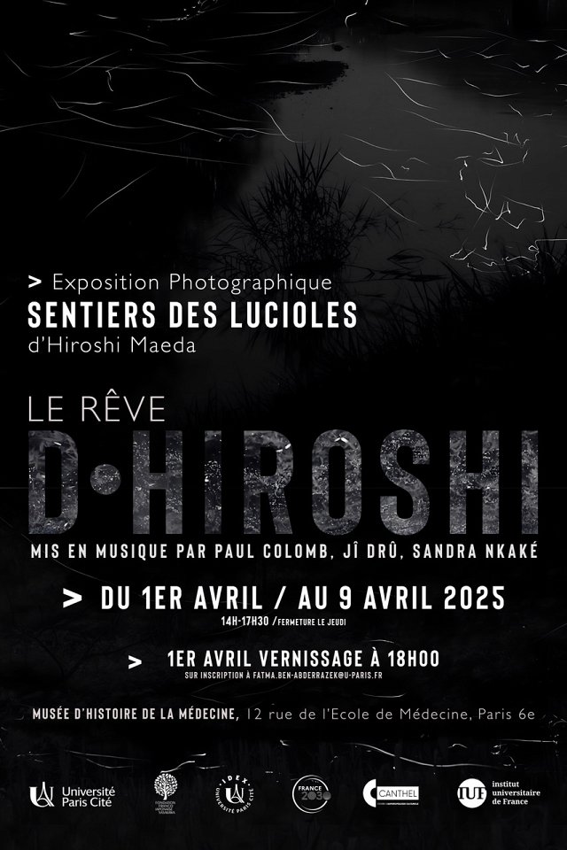 defaut 1. luciolesmaeda - couverture