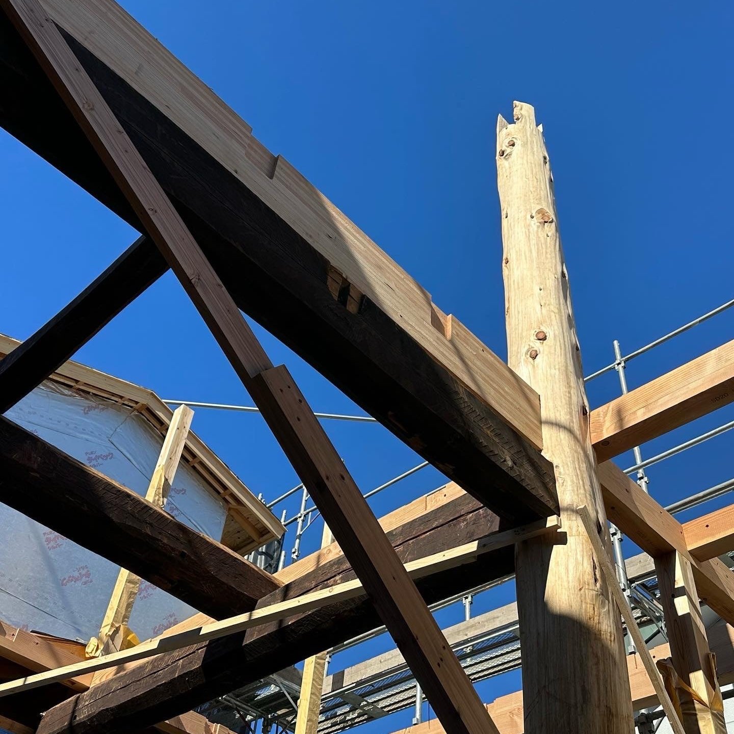 Conférence « Constructions durables en bois »