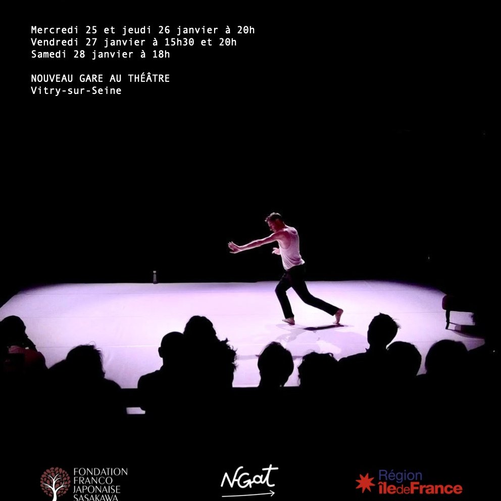 Représentations de « Solo arts martiaux » par Yan Allegret