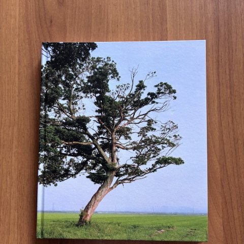 Edition de l'ouvrage TSUNAMI TREES de Naoya Hatakeyama