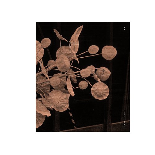 « 78 » livre de photographies de Issei Suda