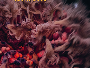 defaut 1. Willaume - couverture