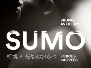 defaut 1. sumo - couverture
