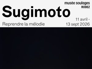 defaut 1. SoulageSugimoto - couverture