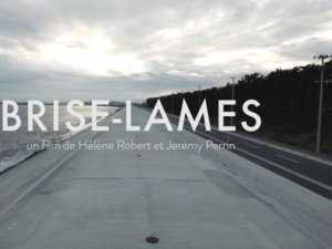 BRISE-LAMES TEASER